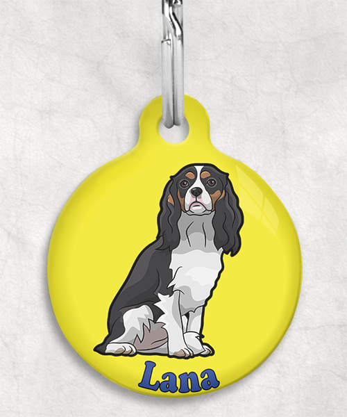 cavalier-naam-los-huisdierpenning-geel-2