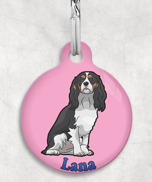 cavalier-naam-los-huisdierpenning-lichtroze-2