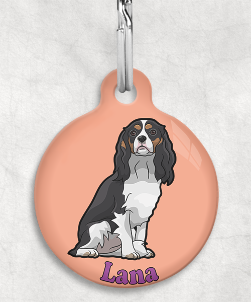 cavalier-naam-los-huisdierpenning-peach-2