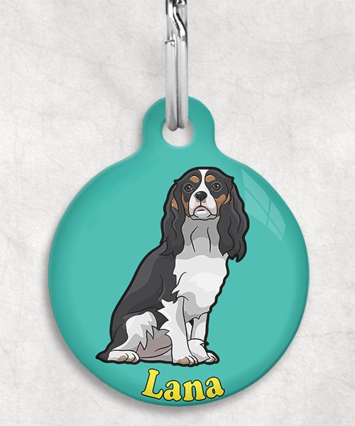cavalier-naam-los-huisdierpenning-turquoise-2