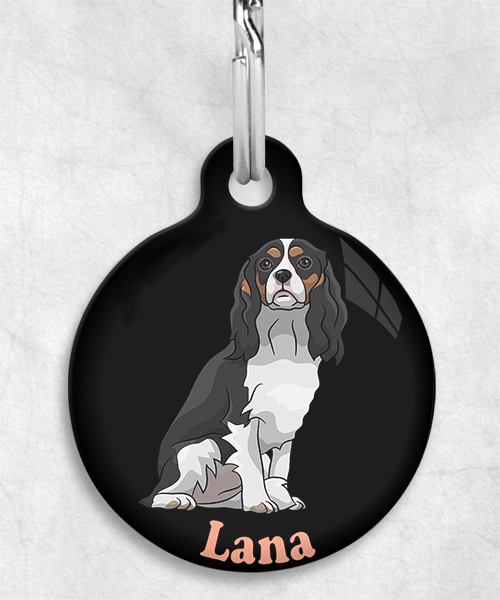 cavalier-naam-los-huisdierpenning-zwart-2