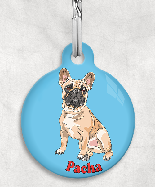 franse-bulldog-bruin-freepik-naam-los-huisdierpenning-lichtblauw