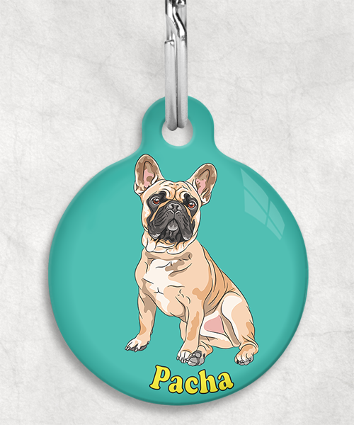 franse-bulldog-bruin-freepik-naam-los-huisdierpenning-turquoise
