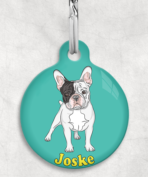 franse-bulldog-bruin-zwart-wit-naam-los-huisdierpenning-turquoise