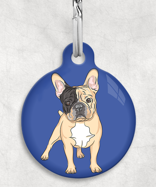 franse-bulldog-bruin-zwart-zonder-naam-huisdierpenning-blauw