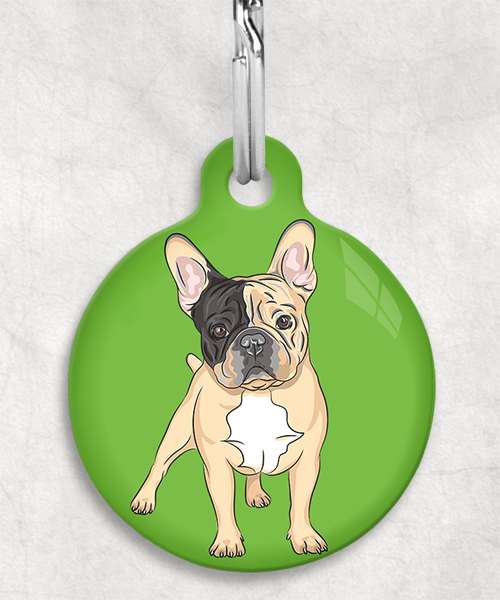 franse-bulldog-bruin-zwart-zonder-naam-huisdierpenning-groen