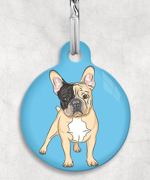 franse-bulldog-bruin-zwart-zonder-naam-huisdierpenning-lichtblauw