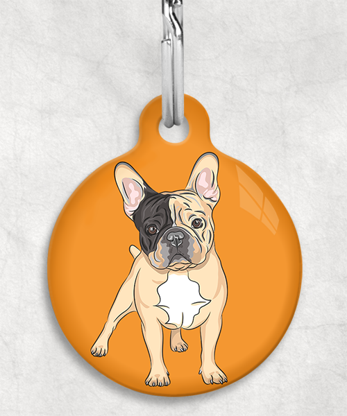 franse-bulldog-bruin-zwart-zonder-naam-huisdierpenning-oranje