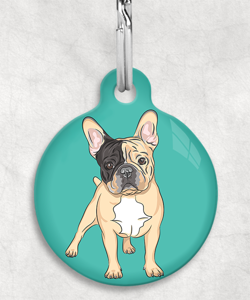 franse-bulldog-bruin-zwart-zonder-naam-huisdierpenning-turquoise