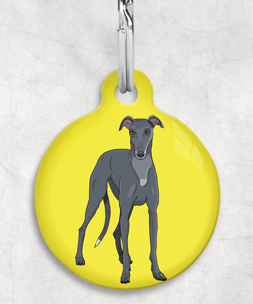 galgo-zwart-zonder-naam-huisdierpenning-geel