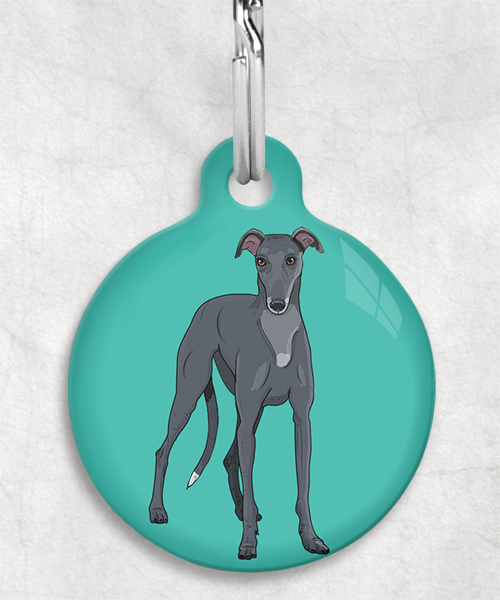 galgo-zwart-zonder-naam-huisdierpenning-turquoise