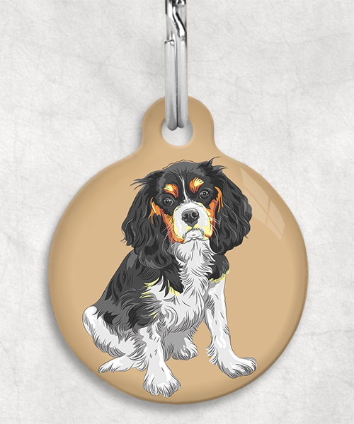 king-charles-cavalier-tricolor-zonder-naam-huisdierpenning-beige
