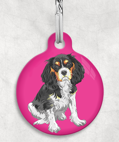 king-charles-cavalier-tricolor-zonder-naam-huisdierpenning-fushia