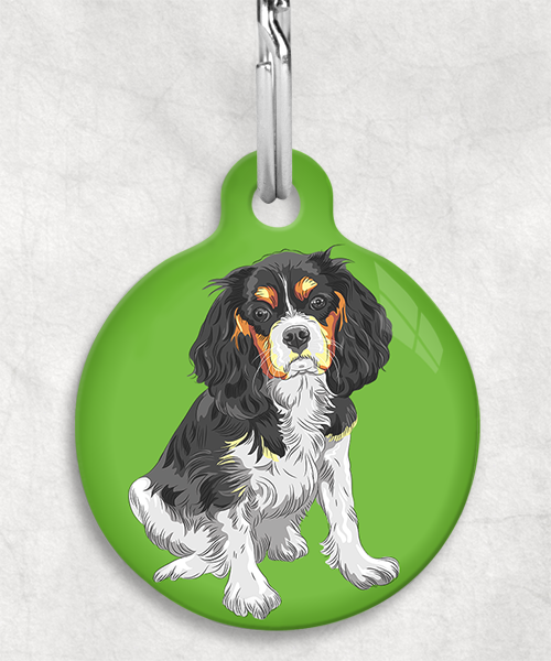 king-charles-cavalier-tricolor-zonder-naam-huisdierpenning-groen