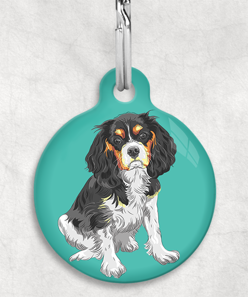 king-charles-cavalier-tricolor-zonder-naam-huisdierpenning-turquoise