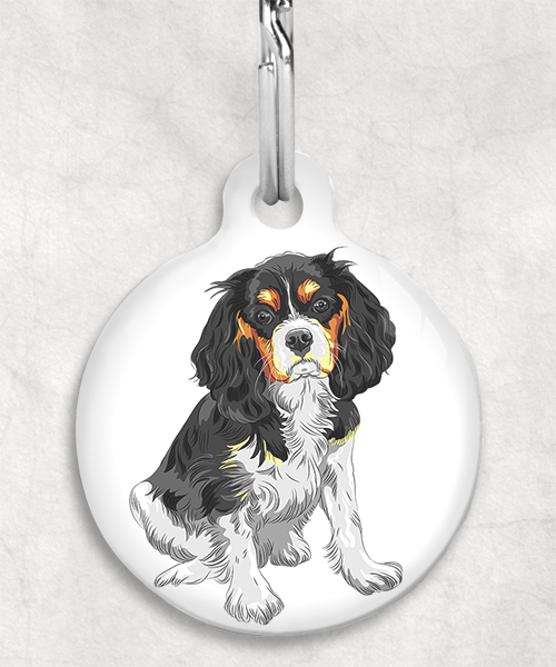king-charles-cavalier-tricolor-zonder-naam-huisdierpenning-wit