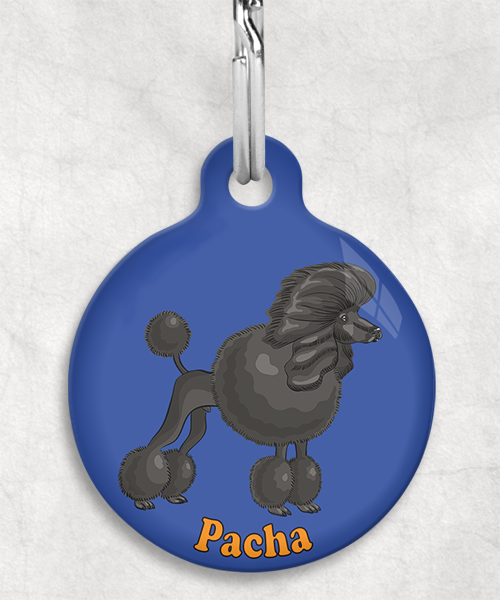 koningspoedel-zwart-freepik-naam-los-huisdierpenning-blauw