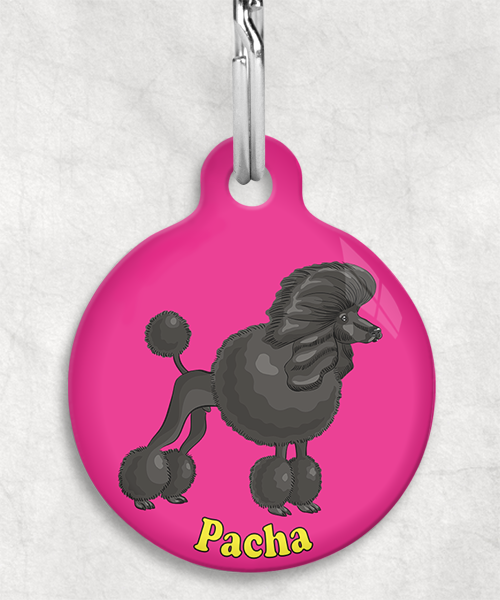 koningspoedel-zwart-freepik-naam-los-huisdierpenning-fushia