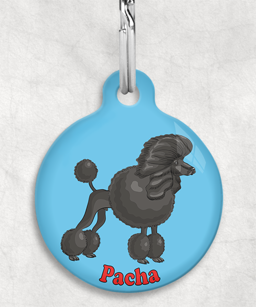 koningspoedel-zwart-freepik-naam-los-huisdierpenning-lichtblauw