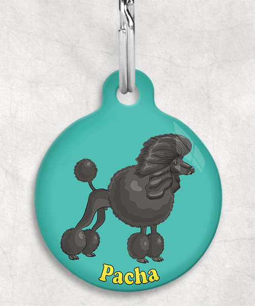 koningspoedel-zwart-freepik-naam-los-huisdierpenning-turquoise