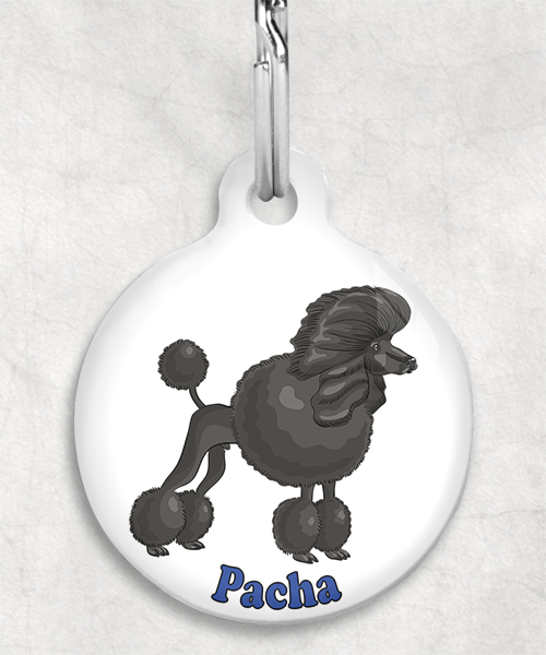 koningspoedel-zwart-freepik-naam-los-huisdierpenning-wit