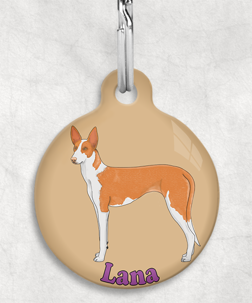 podenco-licht-oranje-naam-los-huisdierpenning-beige