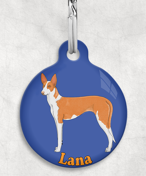 podenco-licht-oranje-naam-los-huisdierpenning-blauw