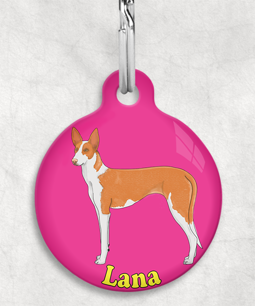 podenco-licht-oranje-naam-los-huisdierpenning-fushia