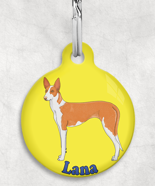 podenco-licht-oranje-naam-los-huisdierpenning-geel