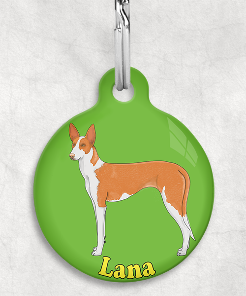 podenco-licht-oranje-naam-los-huisdierpenning-groen