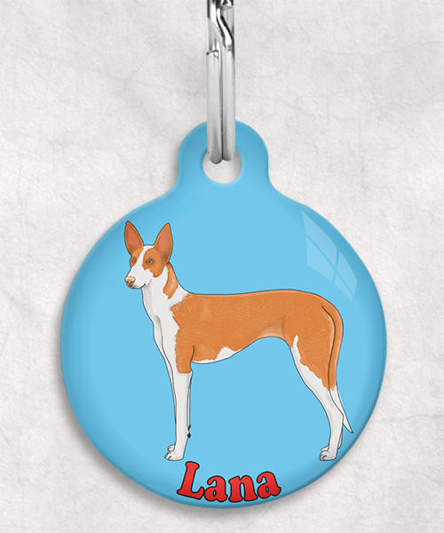 podenco-licht-oranje-naam-los-huisdierpenning-lichtblauw