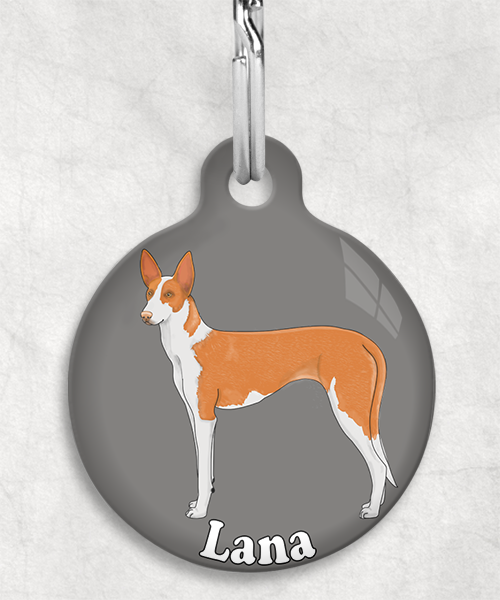 podenco-licht-oranje-naam-los-huisdierpenning-lichtgrijs