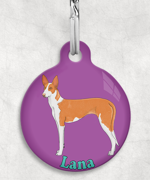 podenco-licht-oranje-naam-los-huisdierpenning-lilla