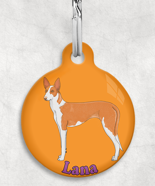 podenco-licht-oranje-naam-los-huisdierpenning-oranje