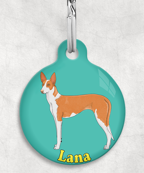 podenco-licht-oranje-naam-los-huisdierpenning-turquoise