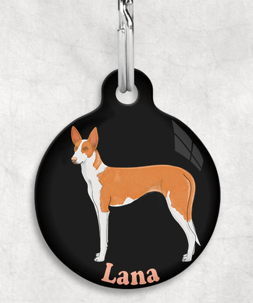 podenco-licht-oranje-naam-los-huisdierpenning-zwart