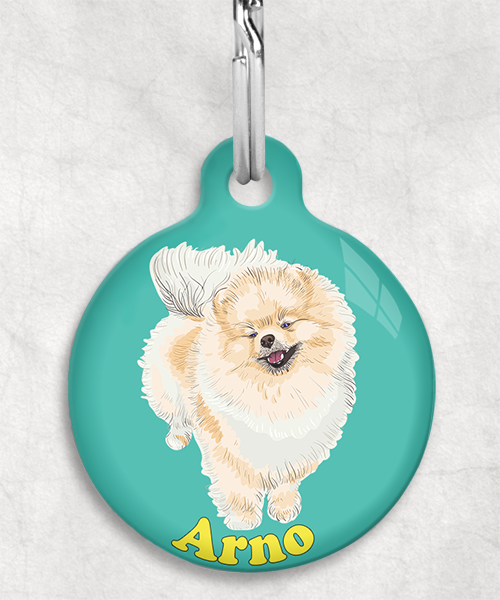 pomerian-naam-los-huisdierpenning-turquoise