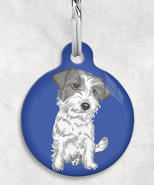 ruw-harige-jackrussel-zonder-naam-huisdierpenning-blauw