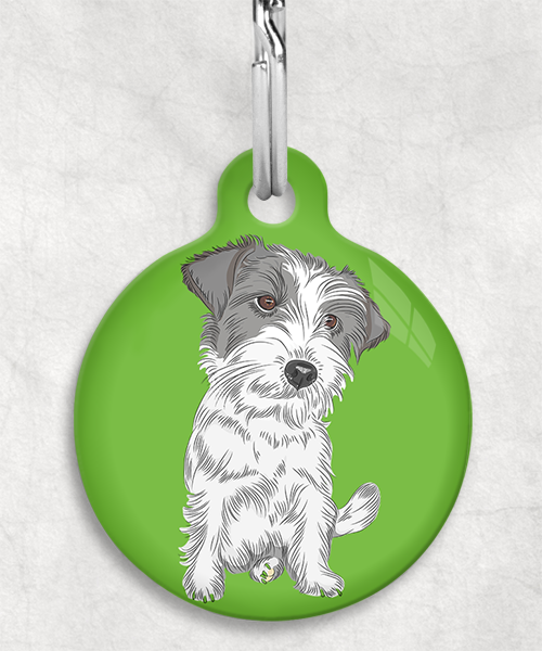 ruw-harige-jackrussel-zonder-naam-huisdierpenning-groen