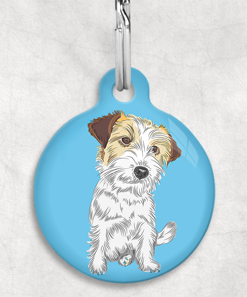 ruw-harige-jackrussel-zonder-naam-huisdierpenning-lichtblauw-1