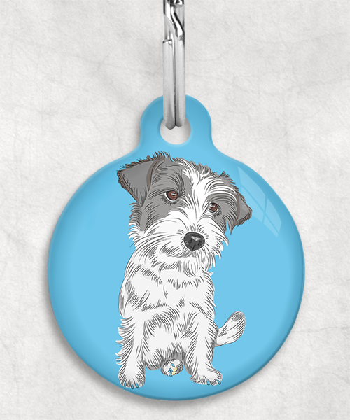 ruw-harige-jackrussel-zonder-naam-huisdierpenning-lichtblauw