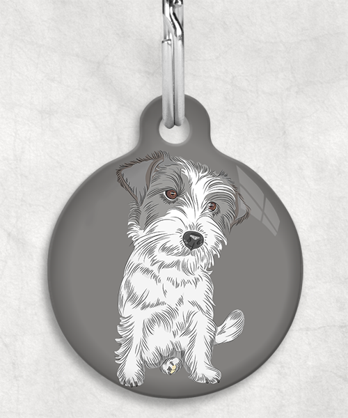 ruw-harige-jackrussel-zonder-naam-huisdierpenning-lichtgrijs