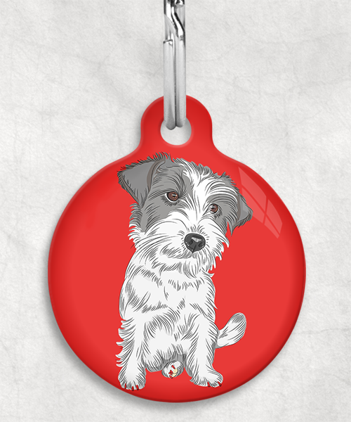 ruw-harige-jackrussel-zonder-naam-huisdierpenning-rood