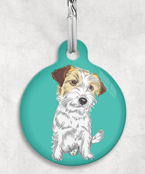 ruw-harige-jackrussel-zonder-naam-huisdierpenning-turquoise-1