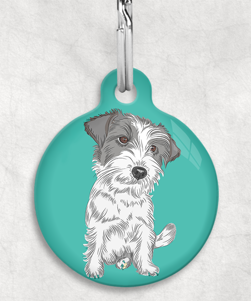 ruw-harige-jackrussel-zonder-naam-huisdierpenning-turquoise