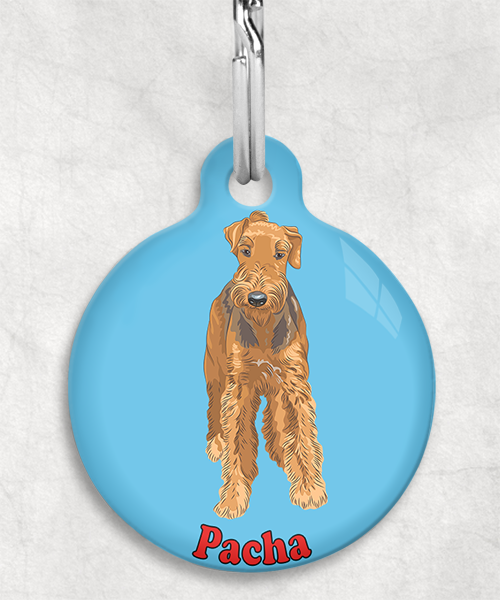 airedale-terrier-naam-los-huisdierpenning-lichtblauw