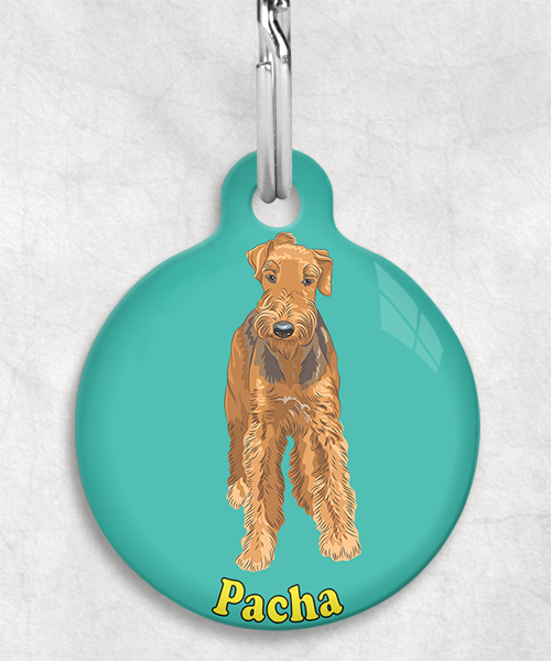 airedale-terrier-naam-los-huisdierpenning-turquoise