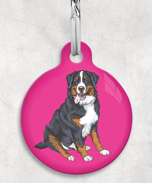 berner-sennen-zonder-naam-huisdierpenning-fushia