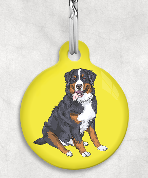 berner-sennen-zonder-naam-huisdierpenning-geel