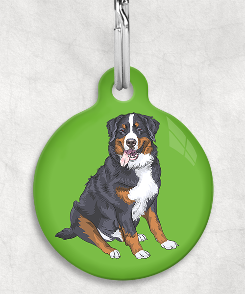 berner-sennen-zonder-naam-huisdierpenning-groen